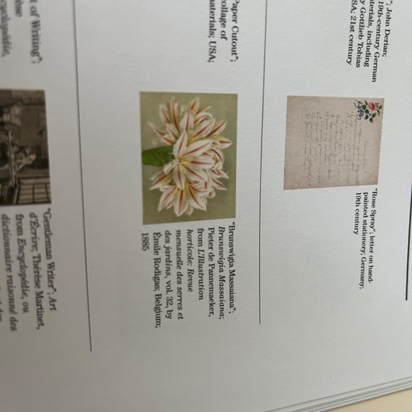 John Derian Melamine Serving Tray With Handles Floral Print - Picture 5 of 7